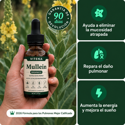 Extracto de Mullein - Deja de Toser & Silbar. Empieza a Respirar
