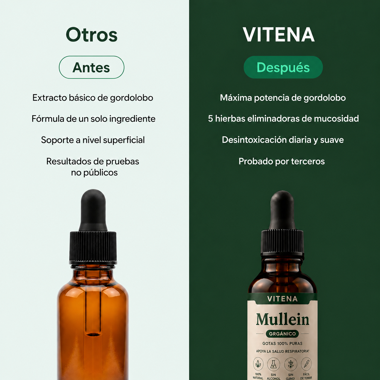 Extracto de Mullein - Deja de Toser & Silbar. Empieza a Respirar