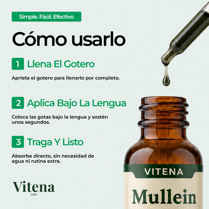 Extracto de Mullein — Apoyo Directo Para Tu Salud Pulmonar